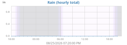 dayrain