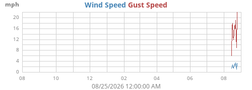 yearwind
